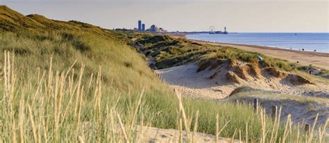 daten den haag|Den Haag, stad aan Zee 